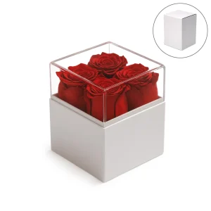 Forever Natural Flowers Gift Box White & Clear Acrylic Lid, 4Pcs Long Life Roses